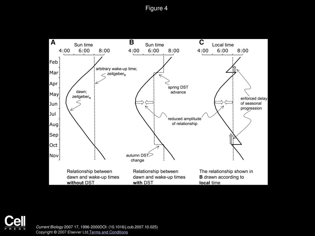 Figure 4 Relationship between Natural and Behavioral Light-Dark Cycles with and without DST.