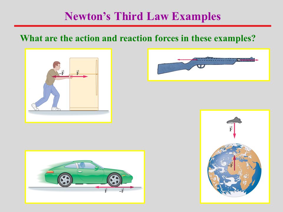 Example picture. 3 Newton's Law. Newtons third Law. Newton's third Law of Motion. 3rd Law of Newton.