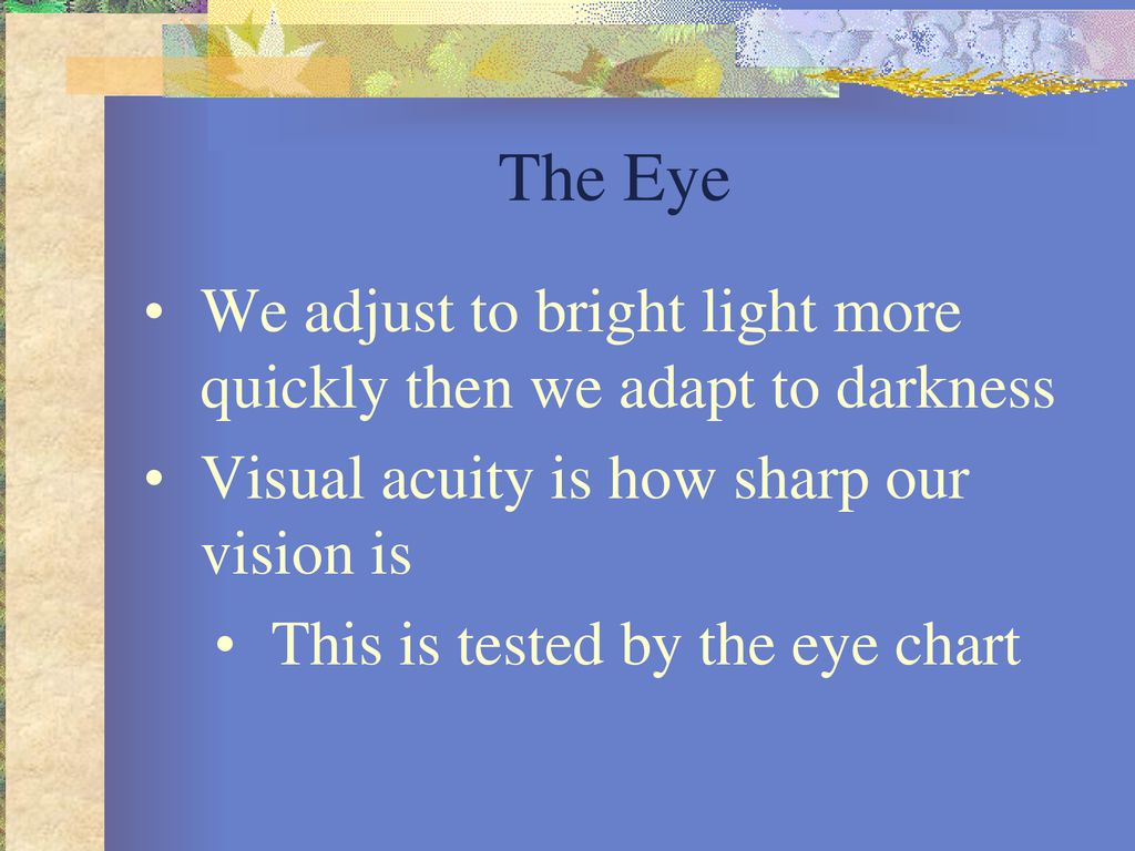 The Eye We adjust to bright light more quickly then we adapt to darkness. Visual acuity is how sharp our vision is.
