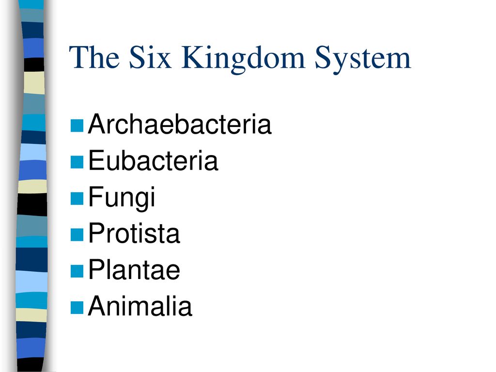 Today’s Objectives TSW be able to recite the levels of taxonomic ...