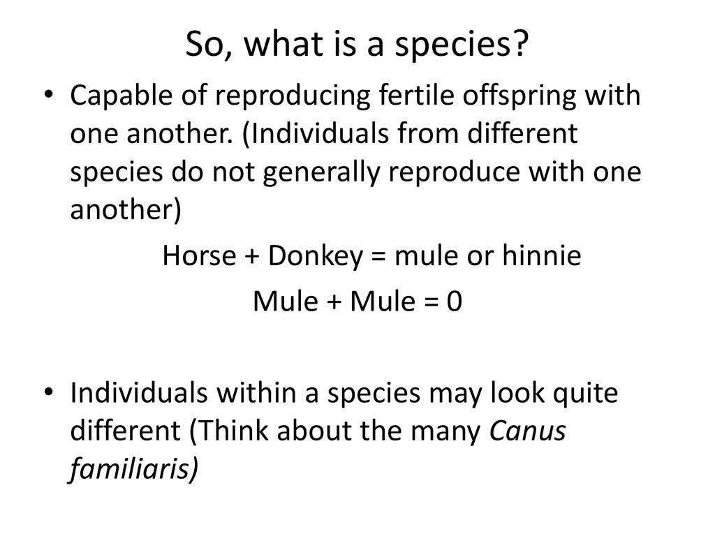 Principles of Taxonomy (chapter 18, page 446) - ppt download