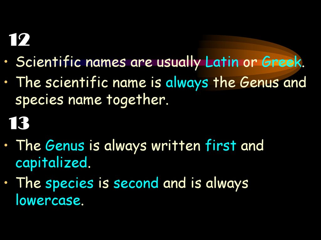 12 13 Scientific names are usually Latin or Greek.