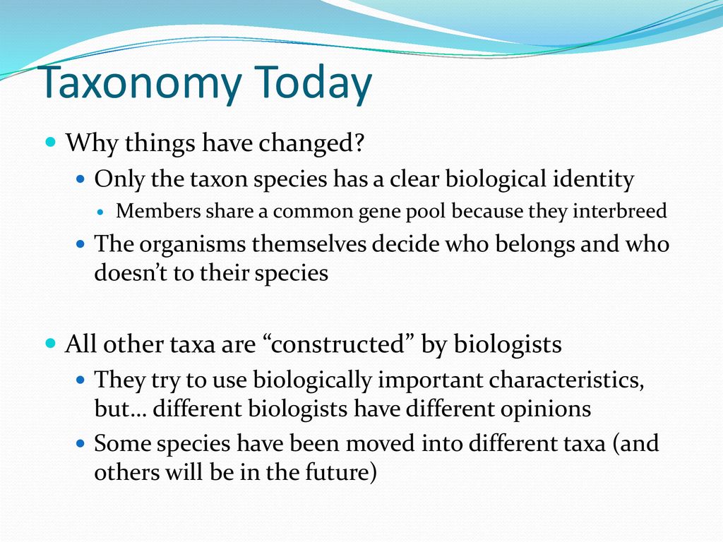 Classification And Taxonomy - Ppt Download