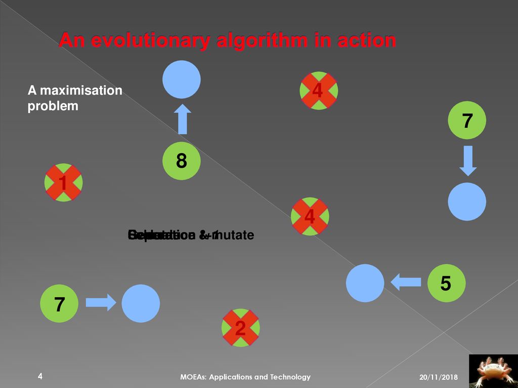 Multi-objective Evolutionary Algorithms: Applications and Technology ...