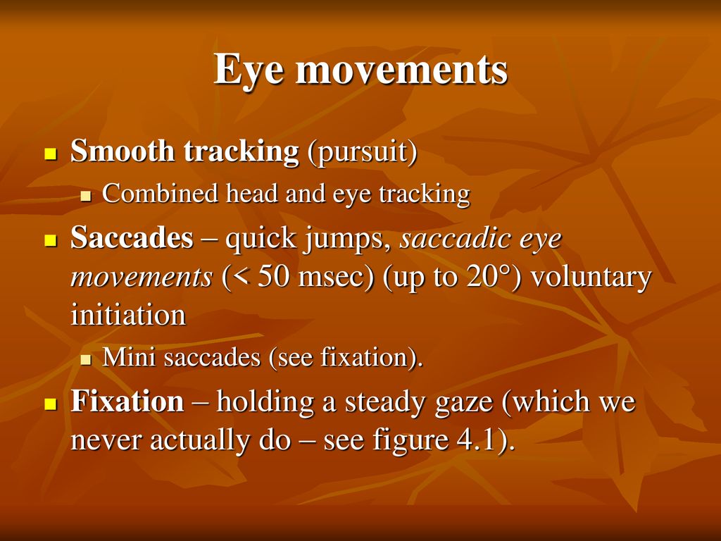 Extraocular Muscles (EOM) & Eye movement - ppt download