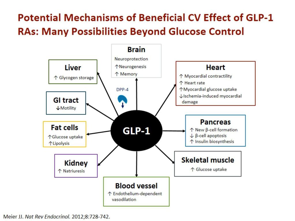 Potential Mechanisms of Beneficial CV Effect of GLP-1 RAs: Many Possibilities Beyond Glucose Control