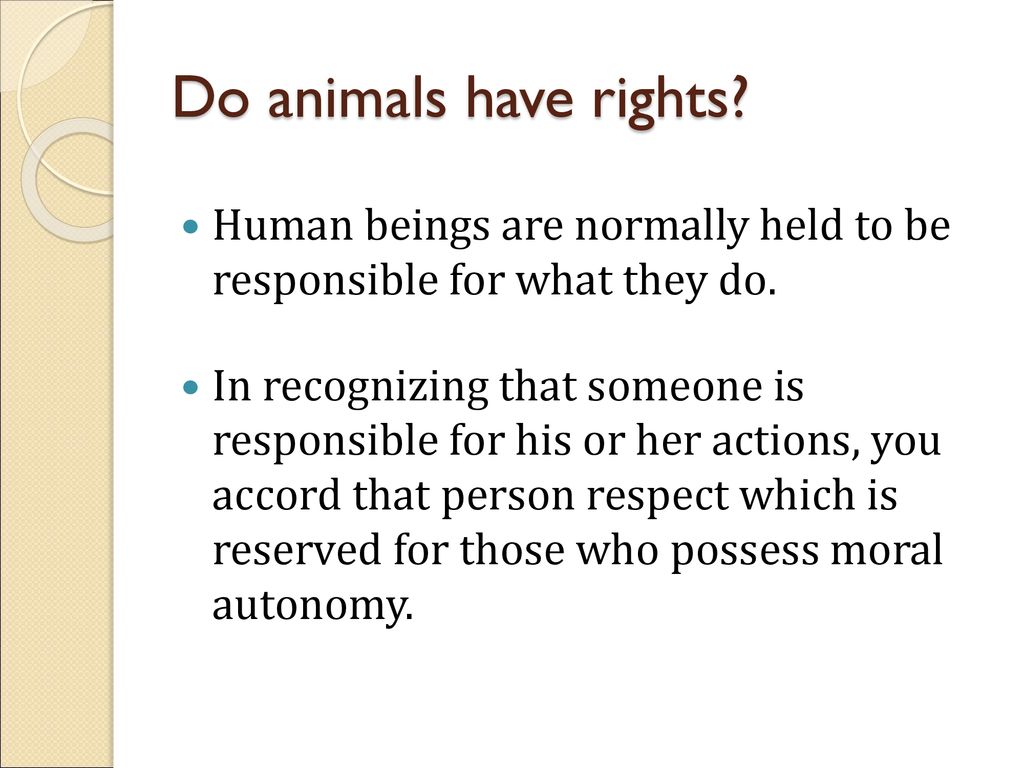 Animal Rights and Animal Ethics - ppt download
