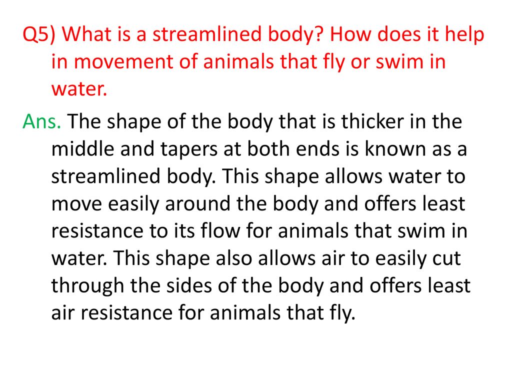 Q & A – MOVEMENTS IN THE BODY - ppt download
