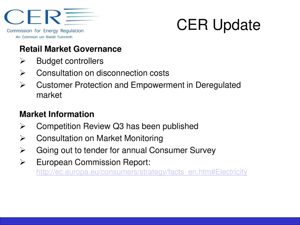 CER Update Retail Market Governance Budget controllers