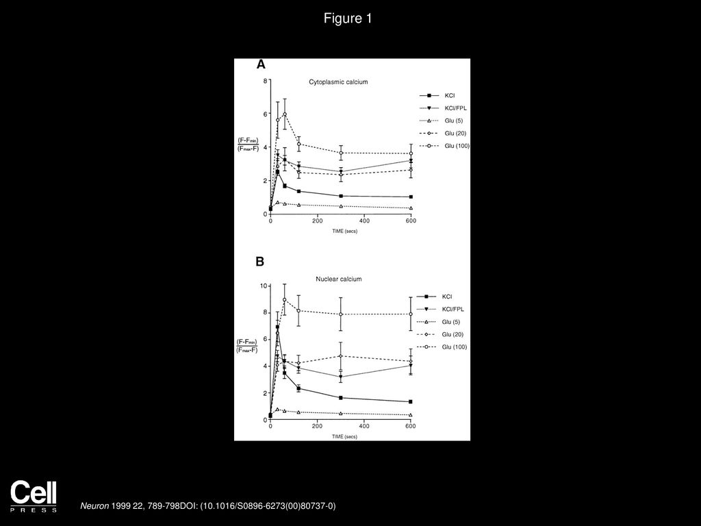 Figure 1 Glutamate Treatment and KCl-Induced Membrane Depolarization Elicit Ca2+ Transients with Distinct Temporal Profiles.