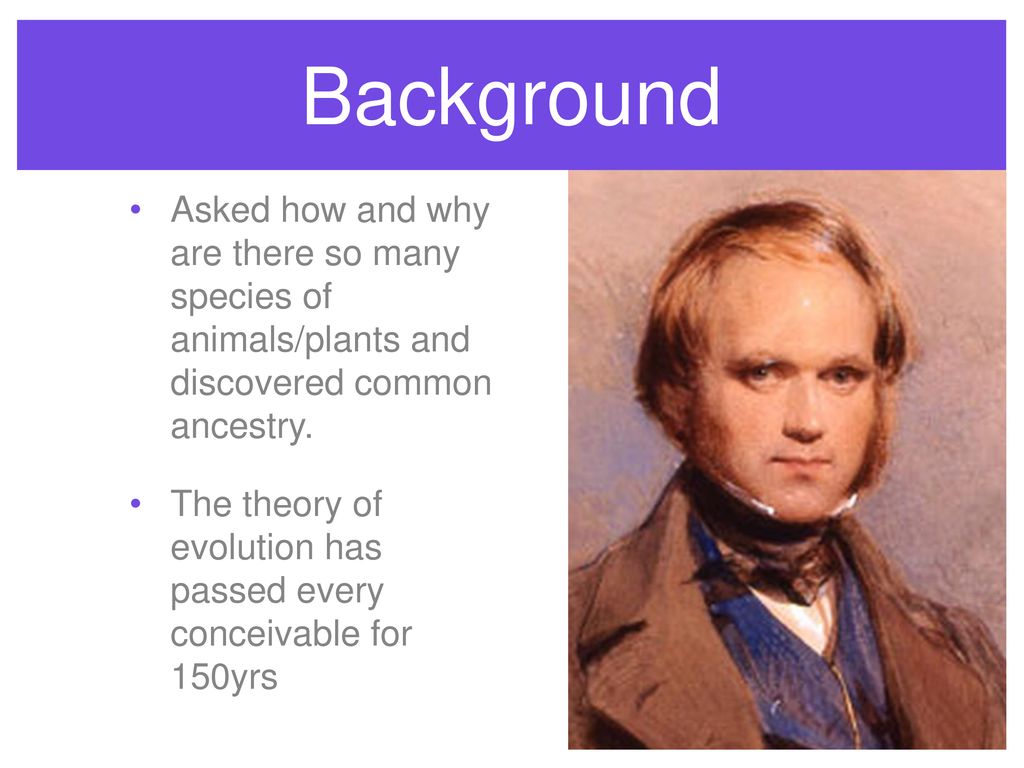 Evolution By David Caldwell. - ppt download