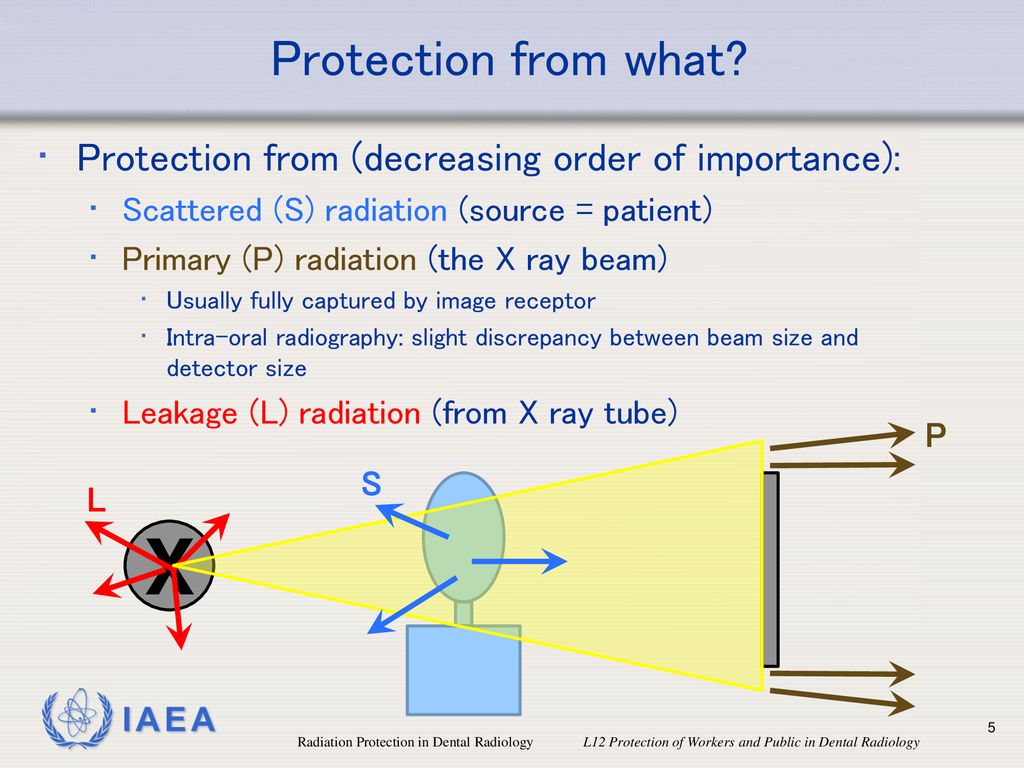 Protection from what Protection from (decreasing order of importance): Scattered (S) radiation (source = patient)