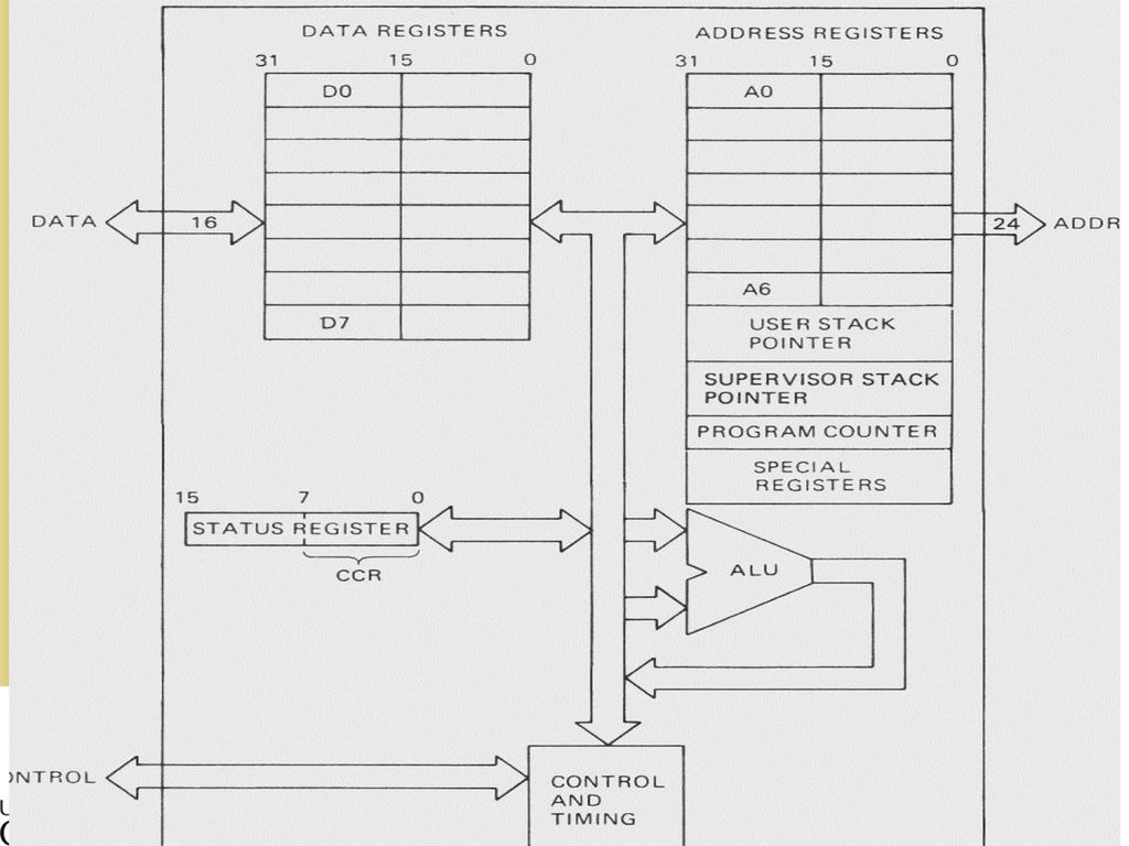 Microcoded CCU (Central Control Unit) - ppt download