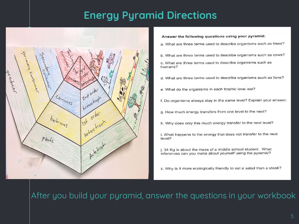 Part 22: Warm-Up Question--Energy Pyramid (TURN IN THE WHITE BASKET For Ecological Pyramids Worksheet Answers
