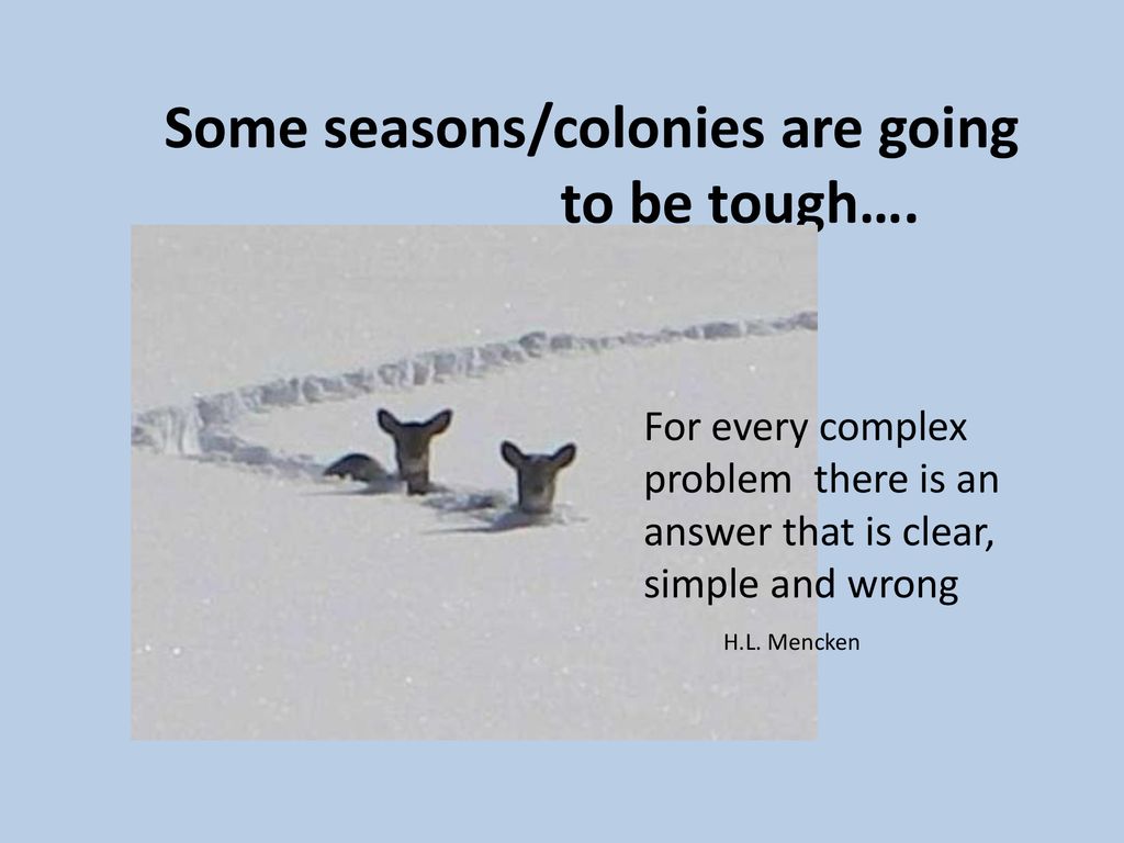 10 questions using tools for varroa management dewey m caron ppt