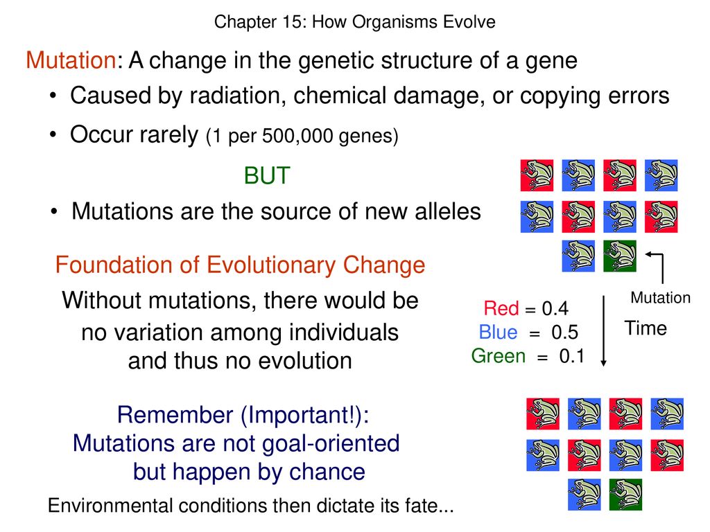 Chapter 15 how organisms evolve ppt download