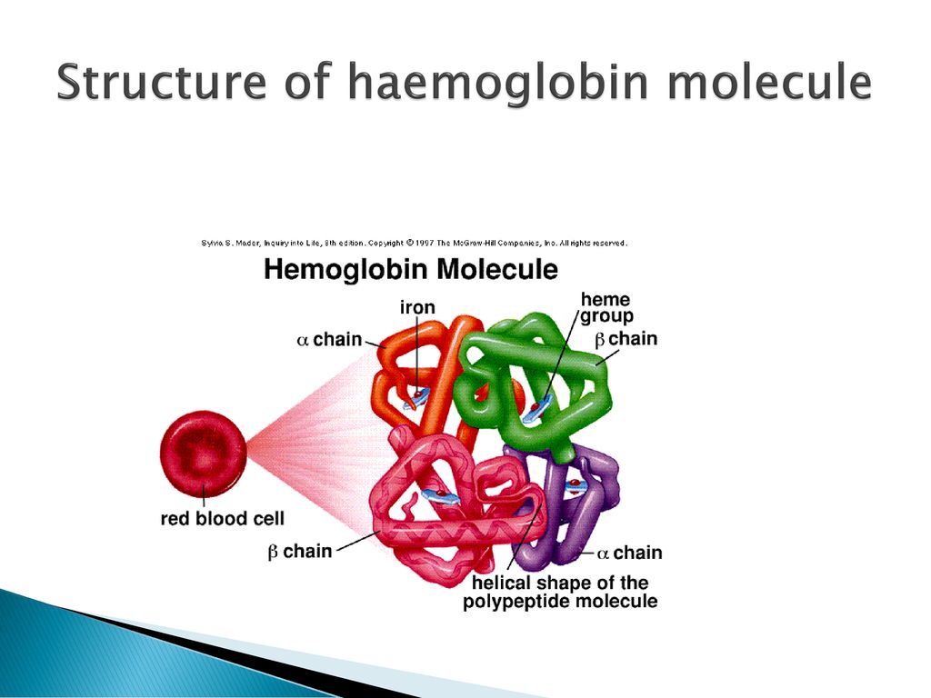 Haemoglobin What factors