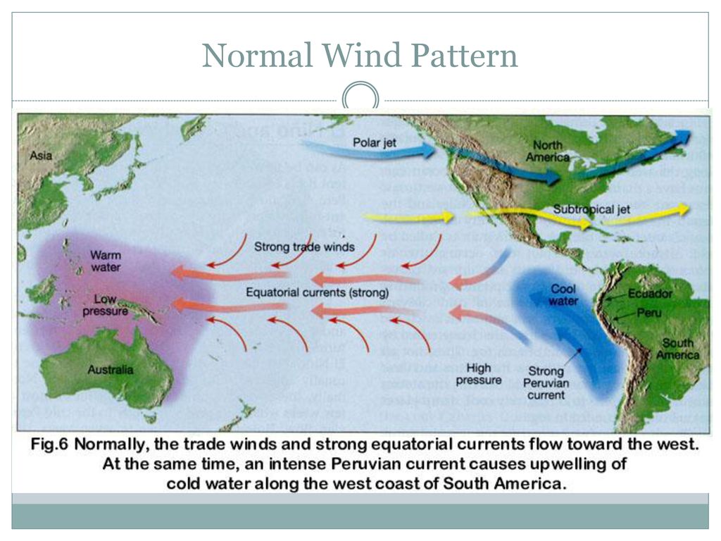 AICE Marine Science As Level - Ppt Download