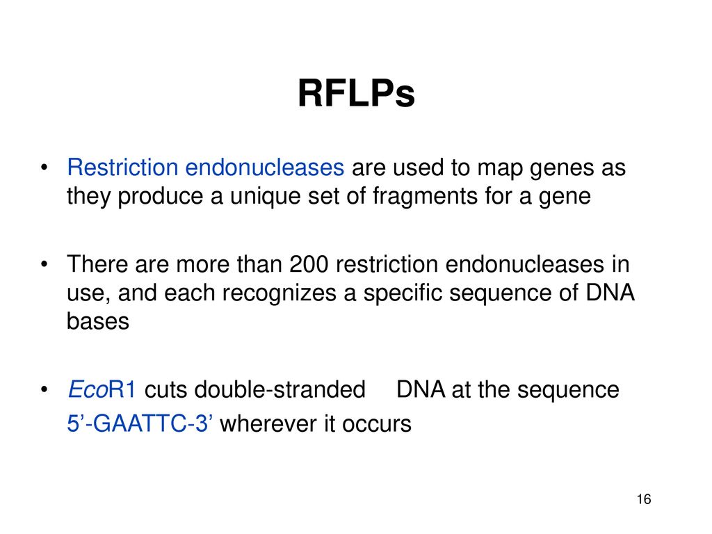 RFLPs Restriction endonucleases are used to map genes as they produce a unique set of fragments for a gene.
