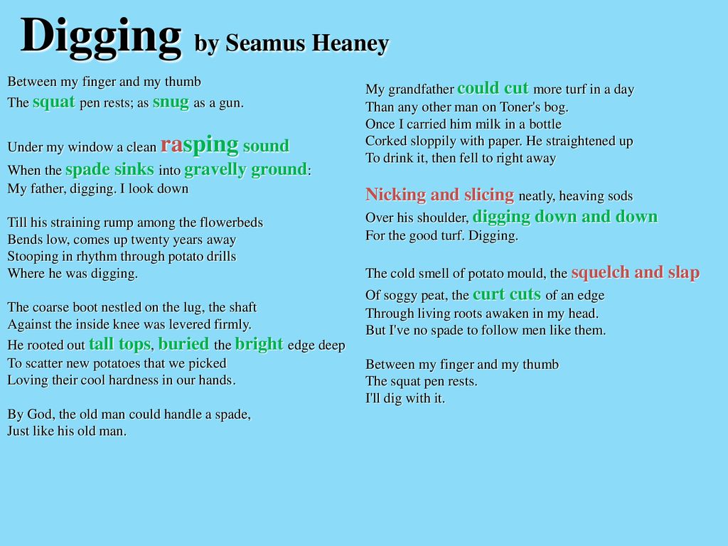 at a potato digging by seamus heaney