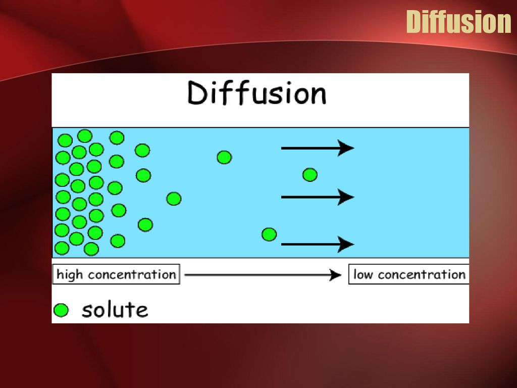 CELLULAR TRANSPORT. - ppt download