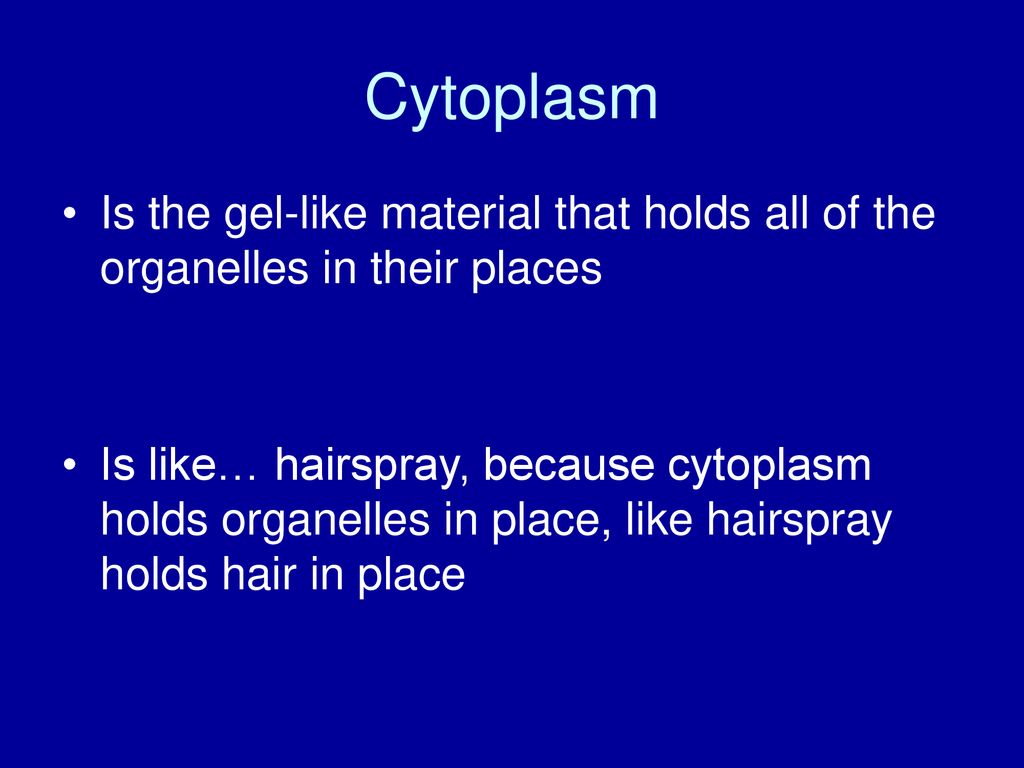 Cytoplasm Is the gel-like material that holds all of the organelles in their places.