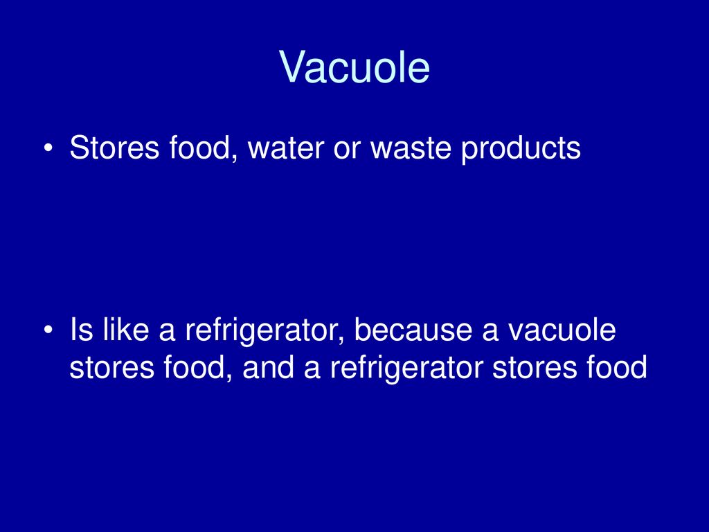 Vacuole Stores food, water or waste products
