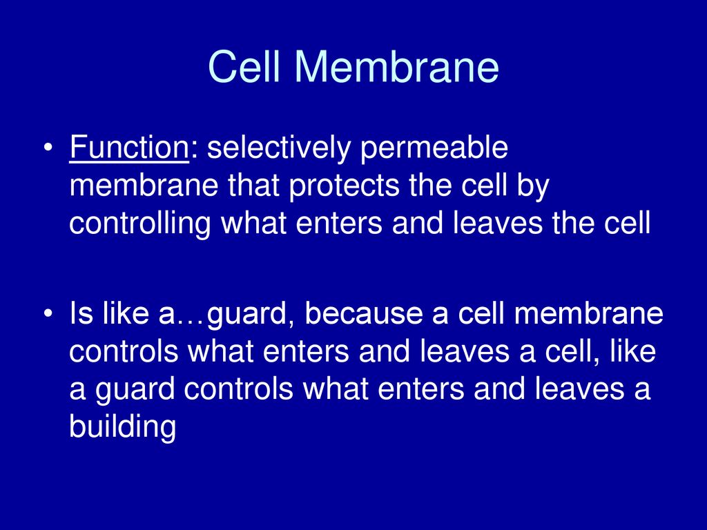 Cell Membrane Function: selectively permeable membrane that protects the cell by controlling what enters and leaves the cell.