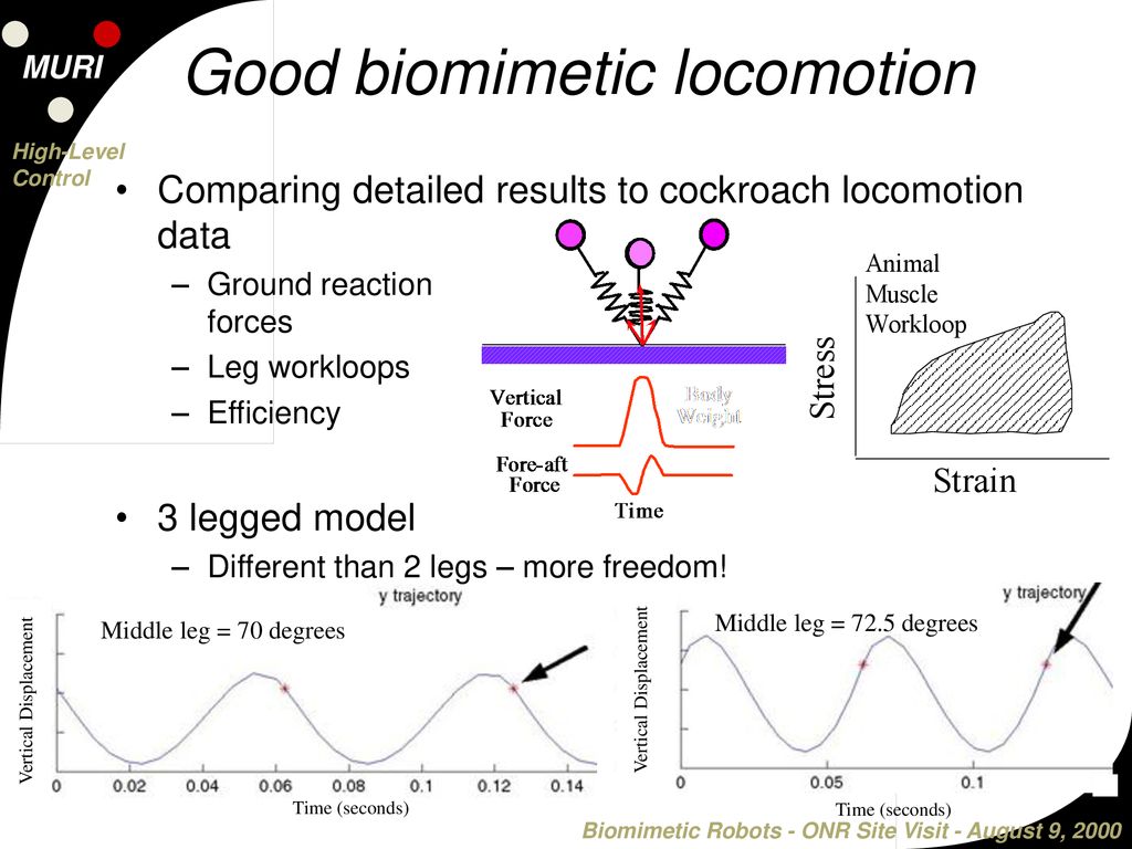 Good biomimetic locomotion