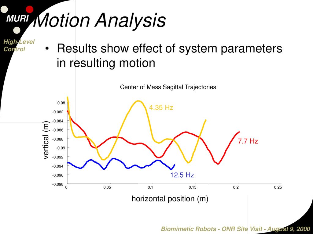 Motion Analysis Results show effect of system parameters in resulting motion. Center of Mass Sagittal Trajectories.