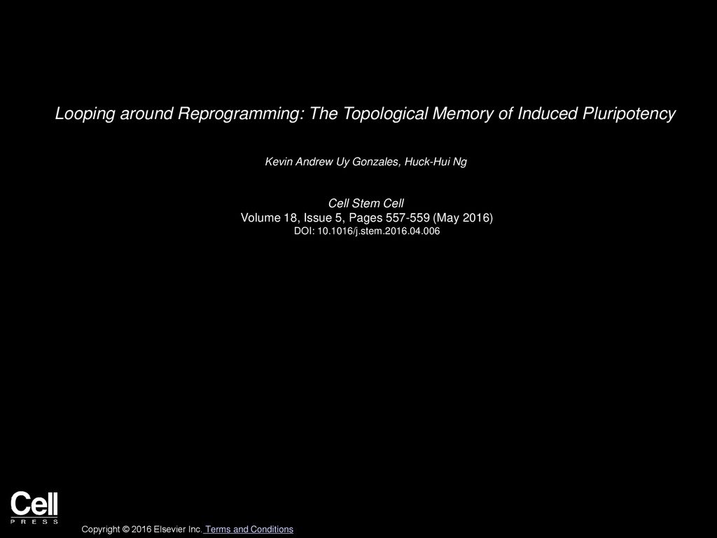 Looping around Reprogramming: The Topological Memory of Induced Pluripotency