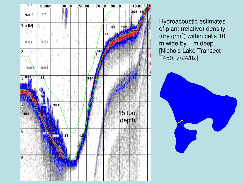 Hydroacoustic estimates of plant (relative) density (dry g/m2) within cells 10 m wide by 1 m deep. [Nichols Lake Transect T450; 7/24/02]