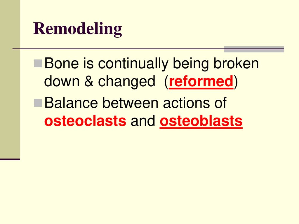 Bone Growth Notes. Biology Diagrams