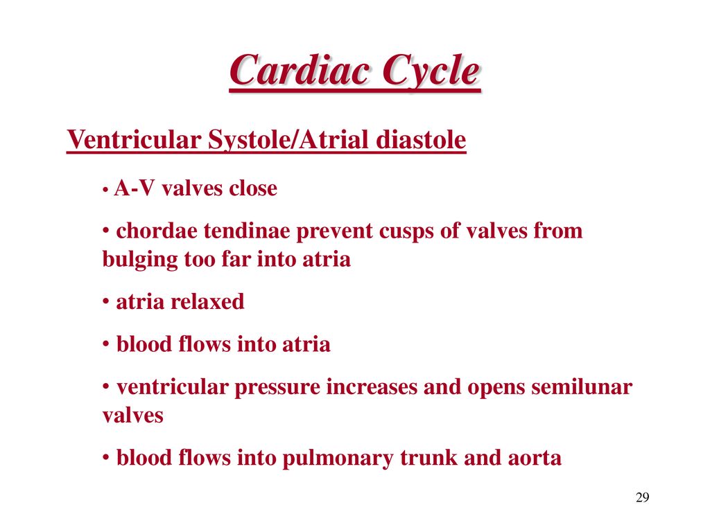 Chapter 15 Cardiovascular System - ppt download