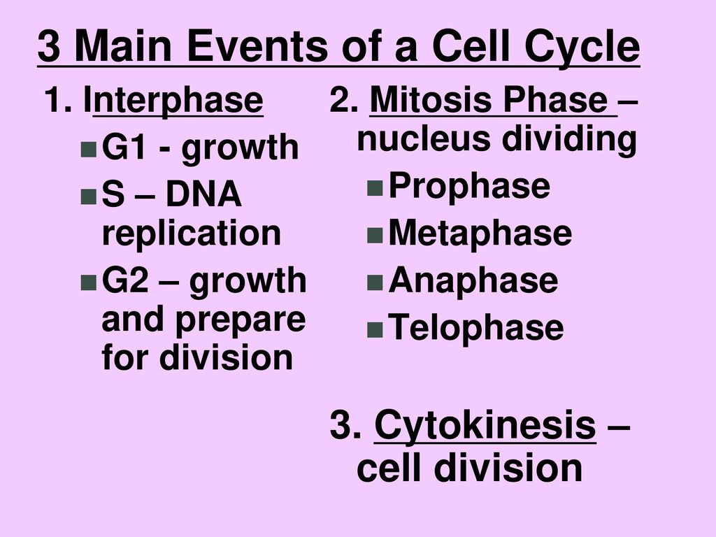 Growth And Development!! - Ppt Download