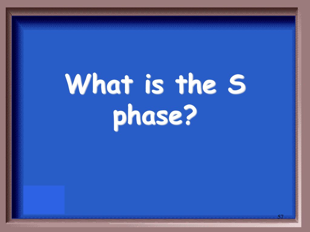 Chromosome Structure Chromosome Structure Chromosome Number Biology Diagrams