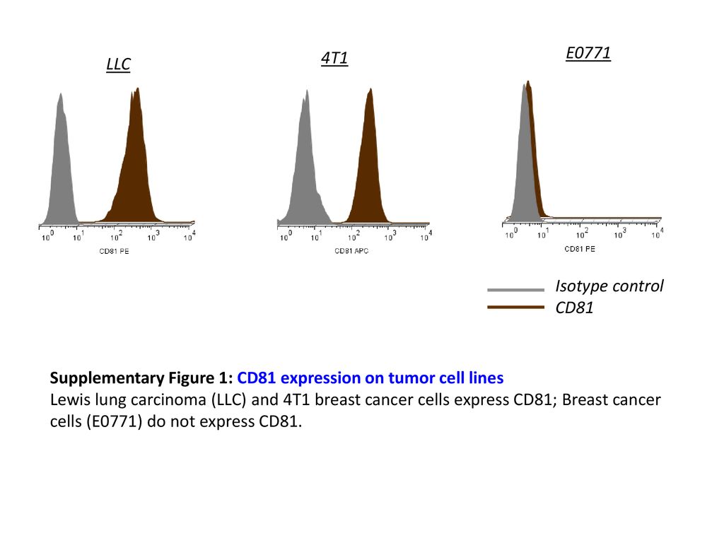 4T1 E0771. LLC. Isotype control. CD81. Supplementary Figure 1: CD81 expression on tumor cell lines.