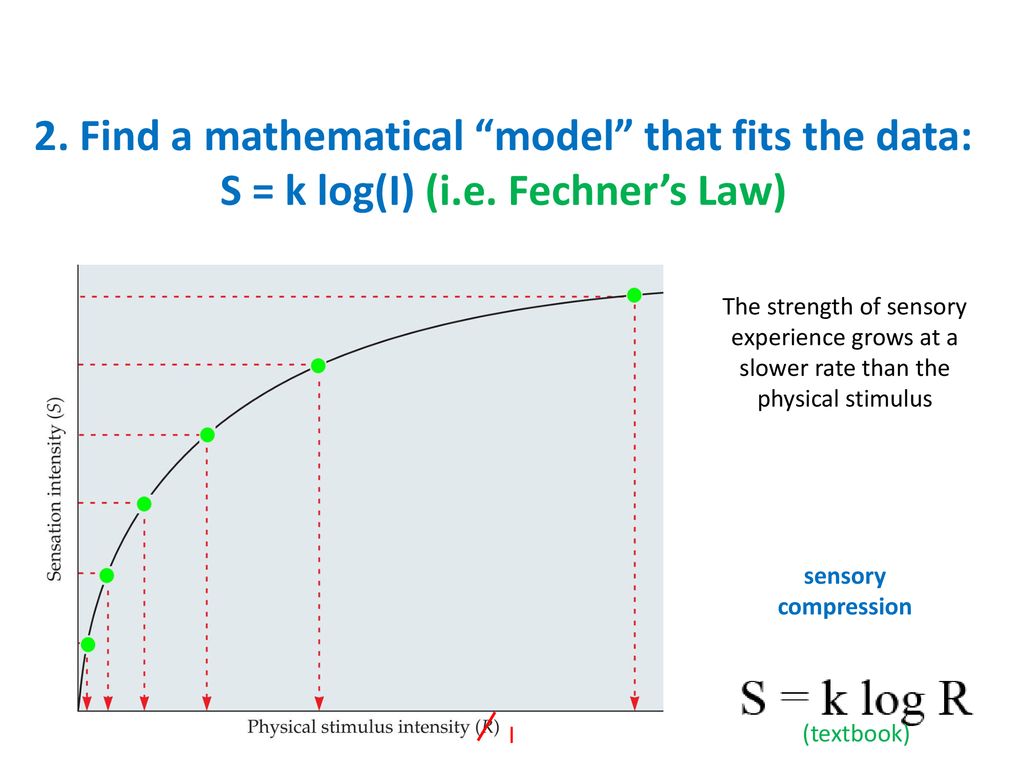 2. Find a mathematical model that fits the data: