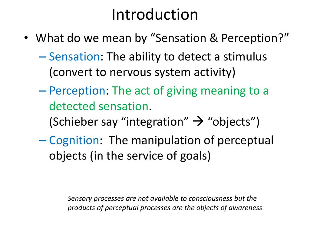 Introduction What do we mean by Sensation & Perception
