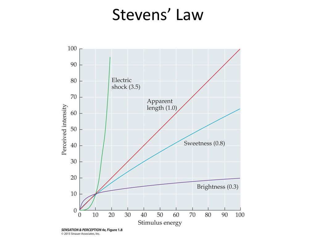 Stevens’ Law