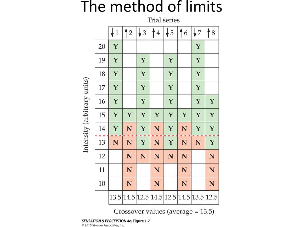 The method of limits SensationPerception4e-Fig jpg