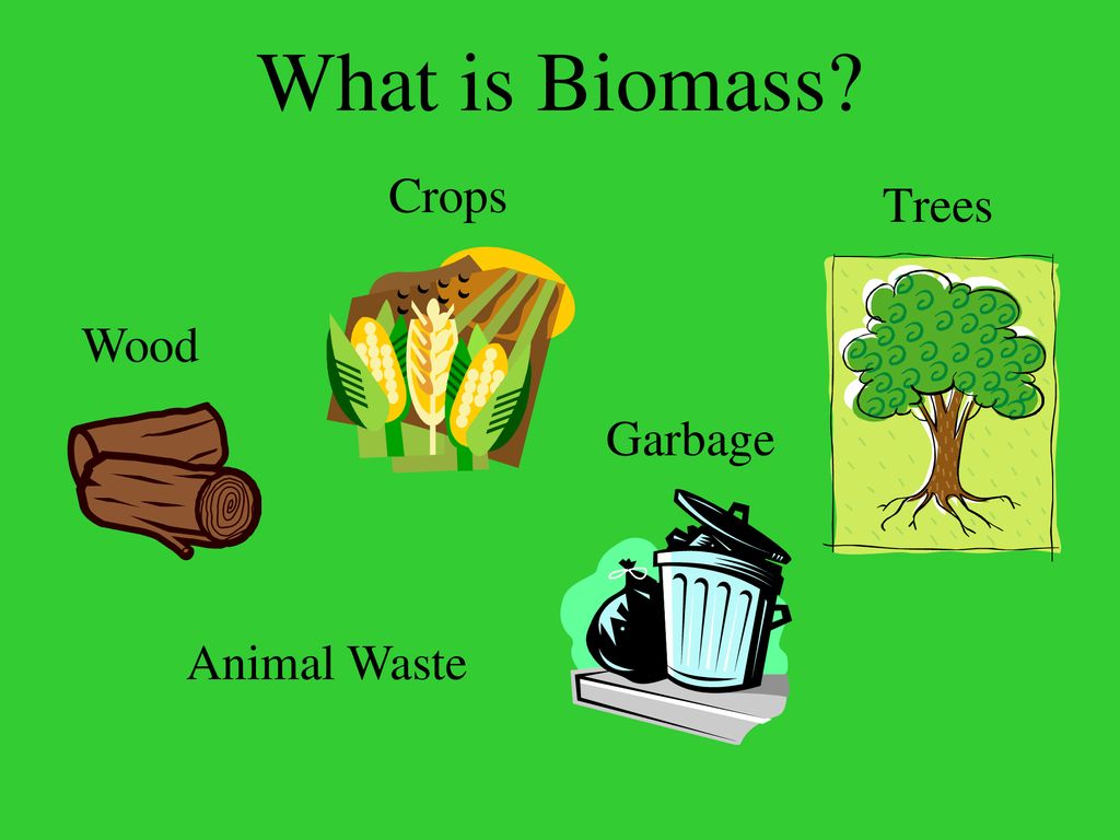 Biomass is anything that is alive or was alive a short time ago. - ppt ...