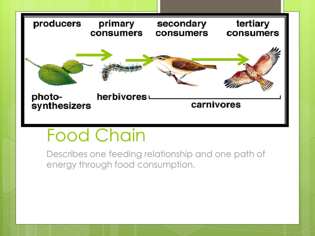 Ecology Ecology is the study of the interactions of living organisms ... Biology Diagrams