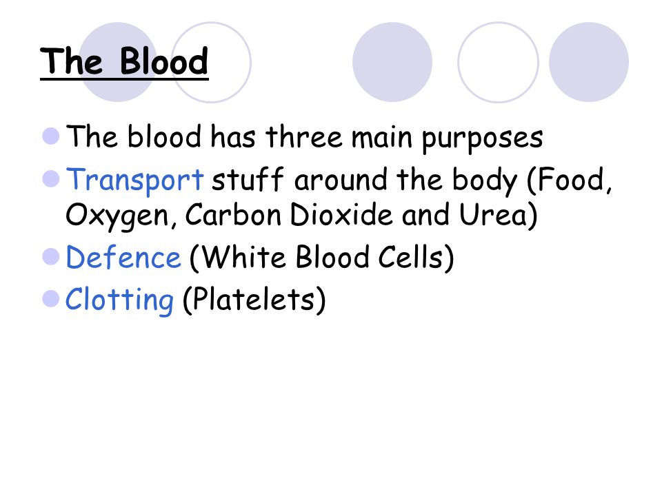 The Blood The blood has three main purposes