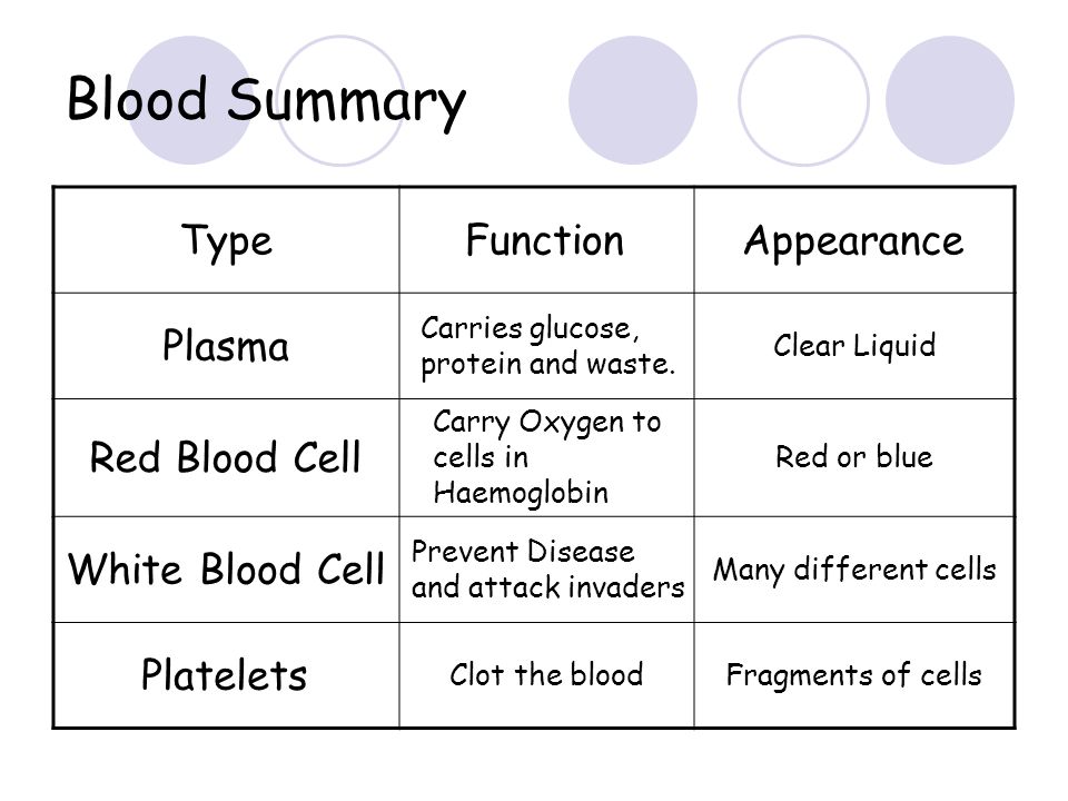 Blood Summary Type Function Appearance Plasma Red Blood Cell