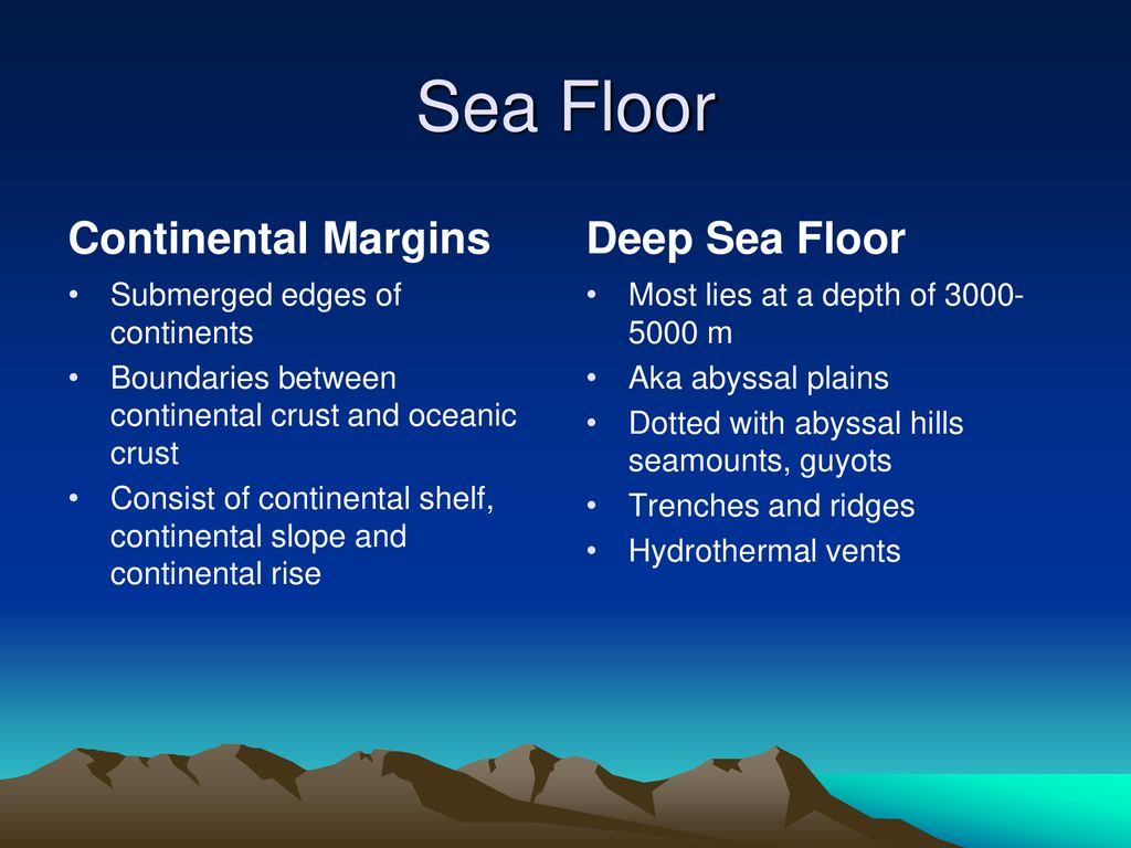 Sea Floor Continental Margins Deep Sea Floor
