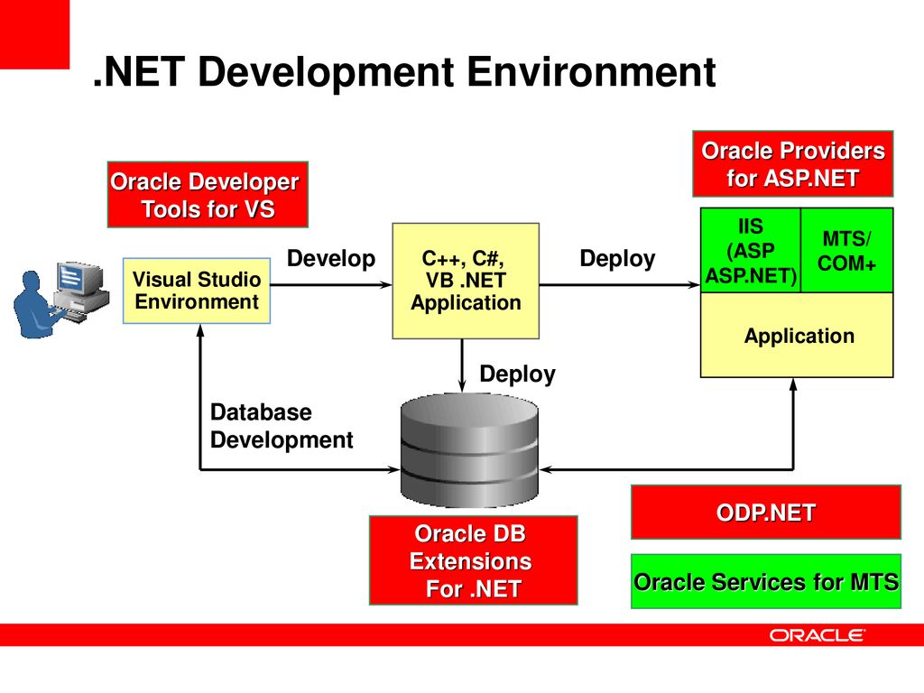 Asp service. .Net Development. Oracle net что это. Методы Oracle net. СУБД dbase 11.