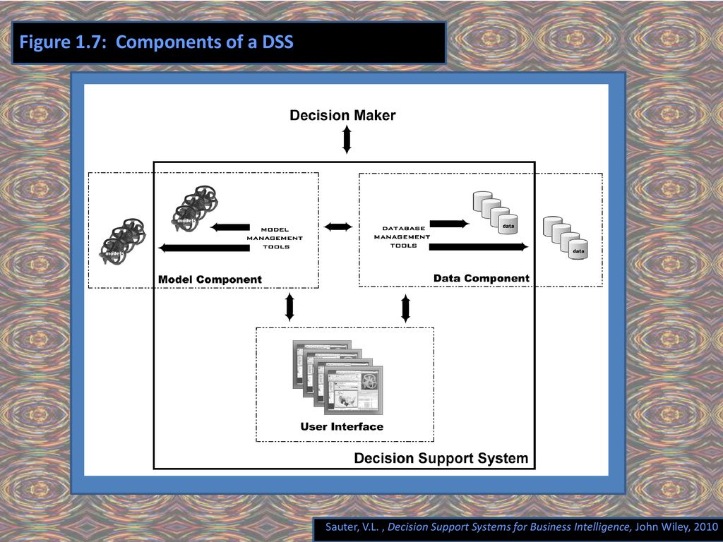 Figure 1.7: Components of a DSS