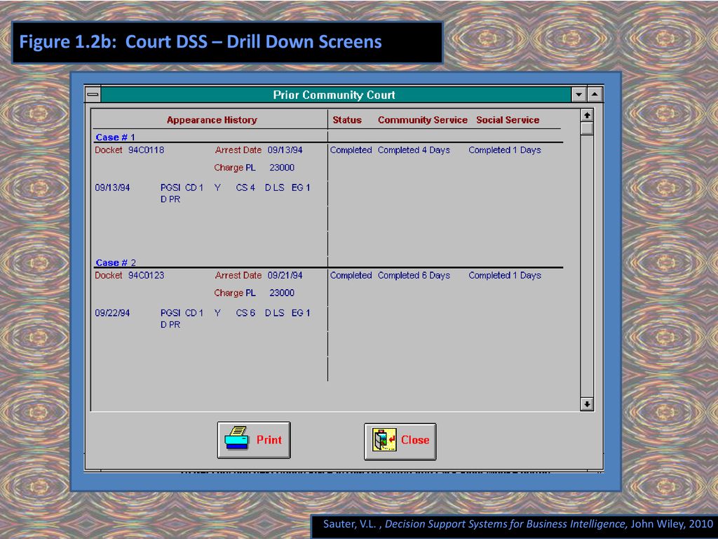 Figure 1.2b: Court DSS – Drill Down Screens