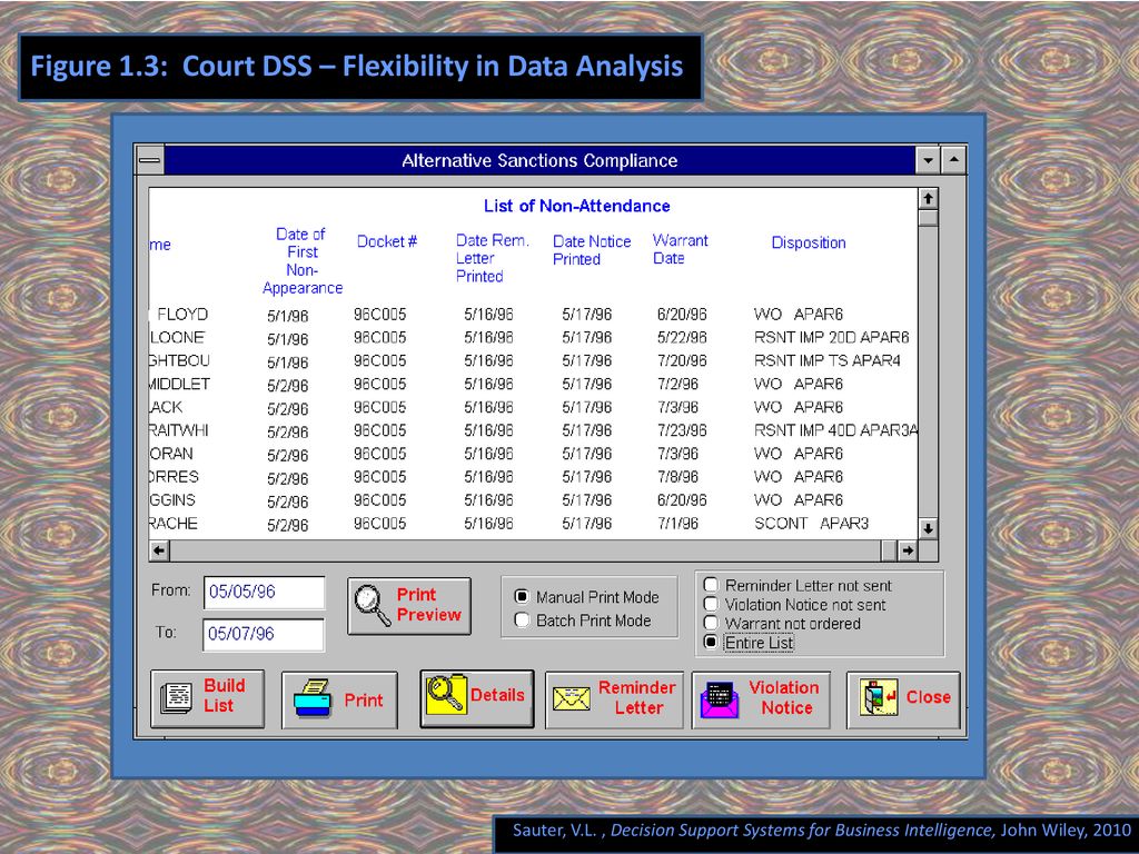 Figure 1.3: Court DSS – Flexibility in Data Analysis